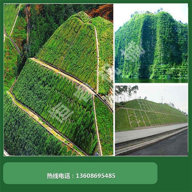 河南恒睿園林綠化工程 從小區(qū)邊坡到垃圾填埋場(chǎng)的專(zhuān)業(yè)施工方案