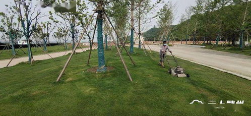 鄂州首個(gè)水上植物園即將開(kāi)園，配套大橋與園林綠化工程全面提升生態(tài)景觀